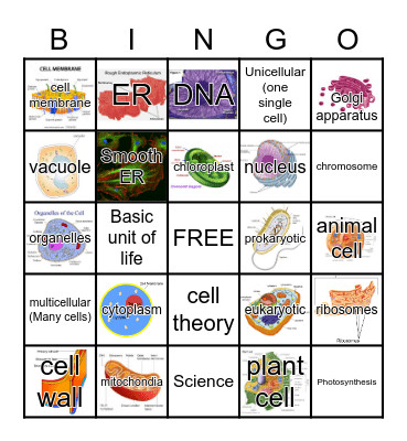 CELL ORGANELLE BINGO Card