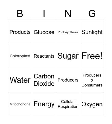 Photosynthesis & Cellular Respiration Bingo Card