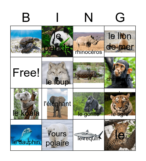 Les Animaux Bingo Card