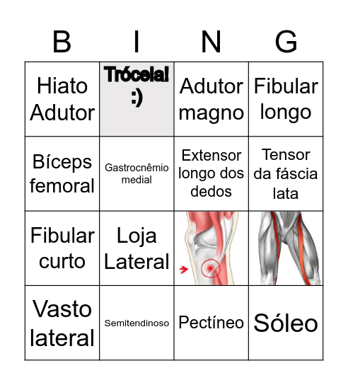 Miologia dos Membros Inferiores Bingo Card