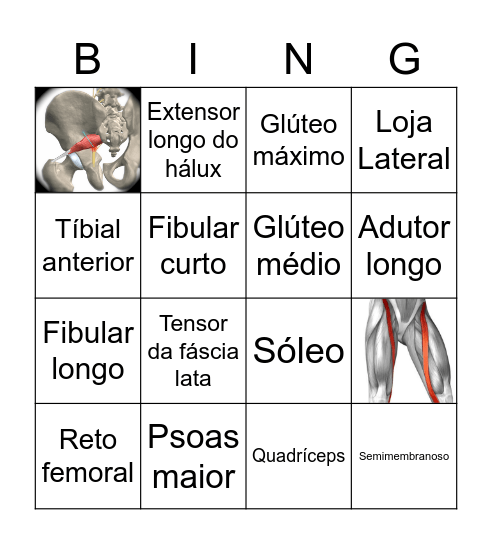 Miologia dos Membros Inferiores Bingo Card