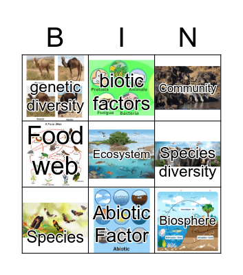 BIODIVERSITY BINGO Card