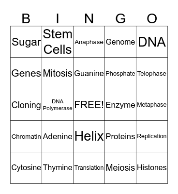DNA, Translation, Transcription Bingo Card