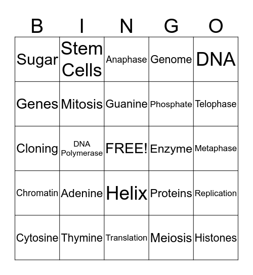 DNA, Translation, Transcription Bingo Card