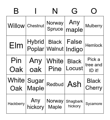 Tree ID Bingo Card