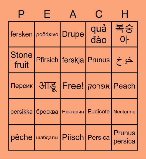 Fruit :) Bingo Card