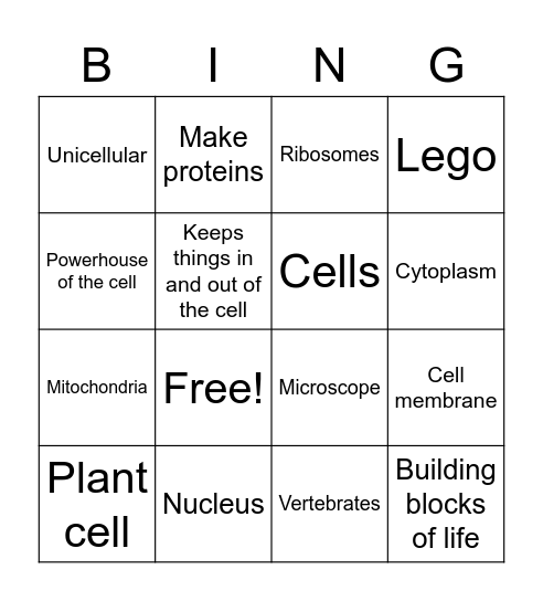Parts of a Cell Bingo! Bingo Card