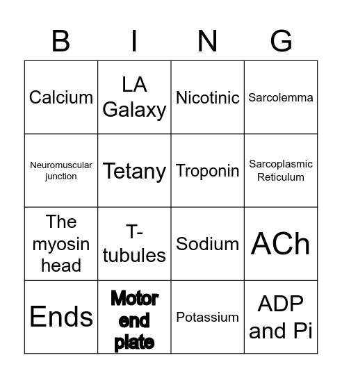 Muscle Contraction Bingo Card
