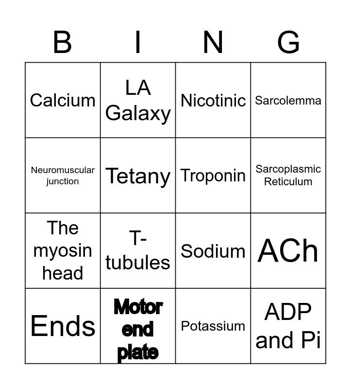 Muscle Contraction Bingo Card
