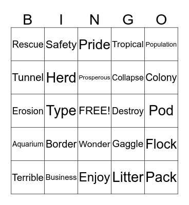 Vocabulary Bingo  Bingo Card