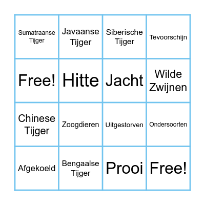 Tijger Bingo Card