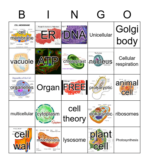 CELL BINGO Card