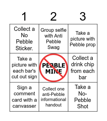 NO PEBBLE PUB CRAWL Bingo Card