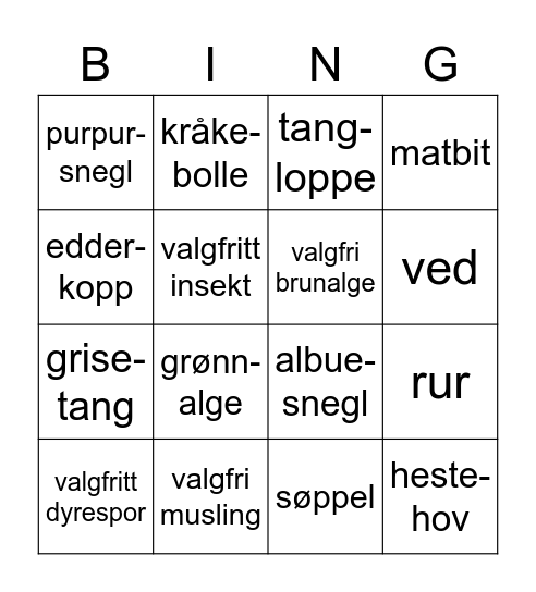 FJÆREBINGO FOR BIOLOGIGJENG Bingo Card