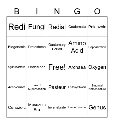 Final Exam Review Spring 2022 Bio Bingo Card