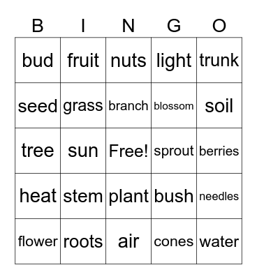 Plant Life Cycle and Plant Parts Bingo Card