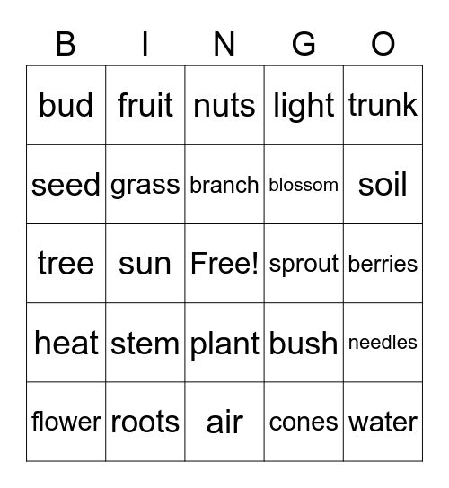 Plant Life Cycle and Plant Parts Bingo Card