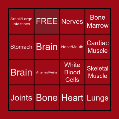 Anatomy Bingo Card