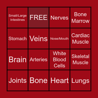 Anatomy Bingo Card