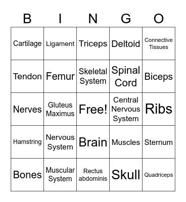 Human Body Bingo 2.0 Bingo Card