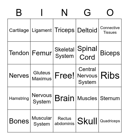 Human Body Bingo 2.0 Bingo Card