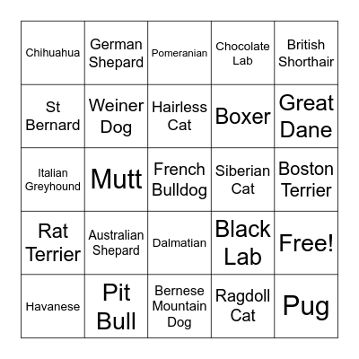Berea ARF Bingo Card