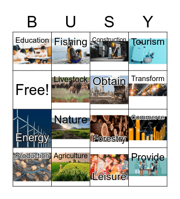 Sectors of Industry Bingo Card