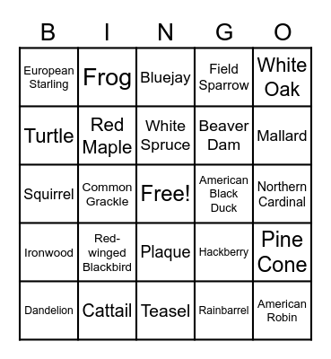 Trail Hunt Bingo Card
