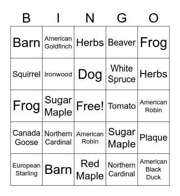 Trail Hunt Bingo Card