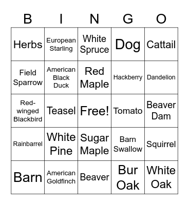 Trail Hunt Bingo Card