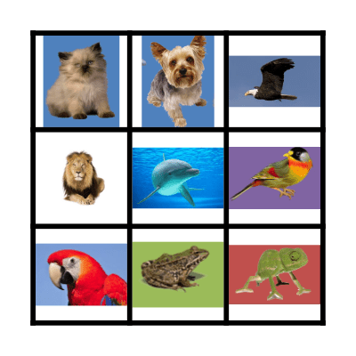 vertebrados Bingo Card