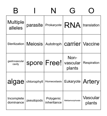 Life Semester 2 Exam Bingo Card