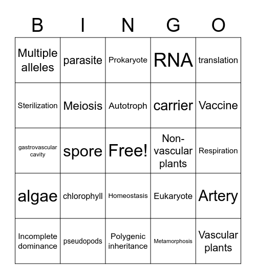 Life Semester 2 Exam Bingo Card