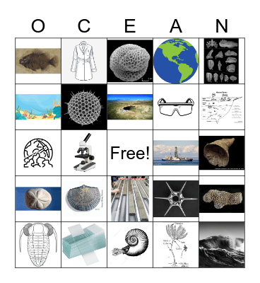 Oceans and Fossils Bingo Card