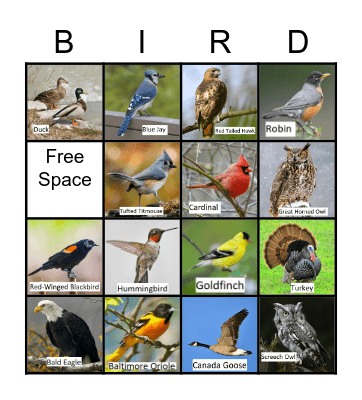 Bird Bingo Card