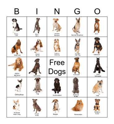 Dog Breeds Bingo Card