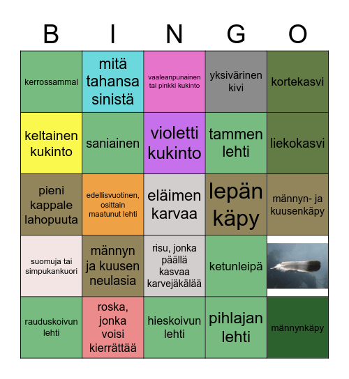 Luontobingo Card
