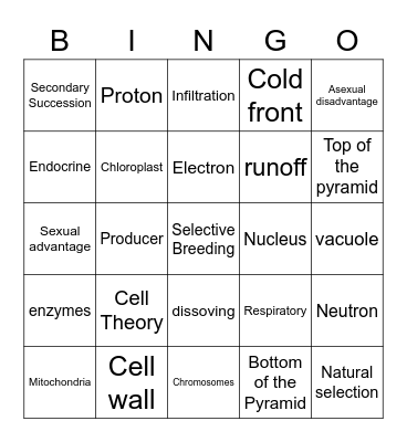 7th Grade Science Bingo Card