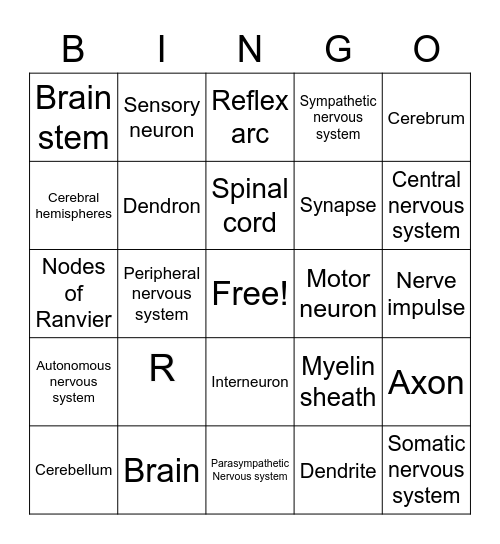 Nervous system Bingo Card