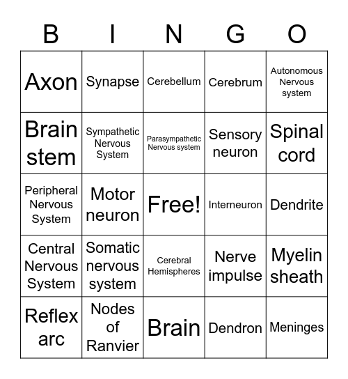 Nervous system Bingo Card