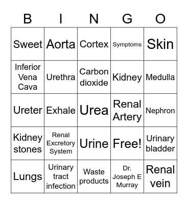 Excretory System Bingo Card