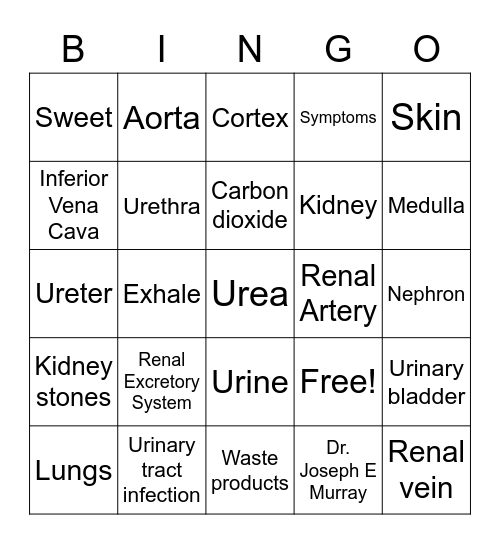 Excretory System Bingo Card