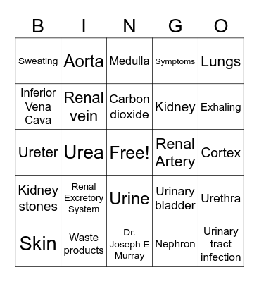 Excretory System Bingo Card