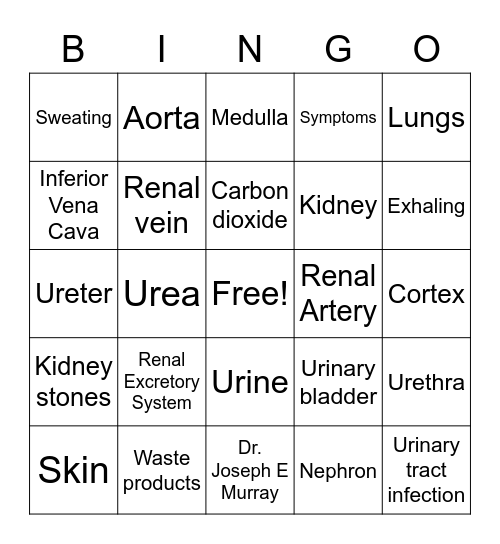 Excretory System Bingo Card