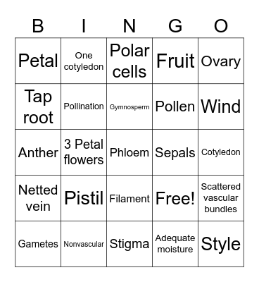 Reproduction Bingo Card