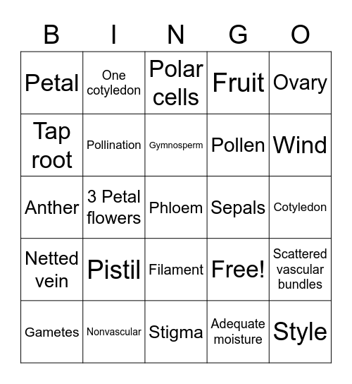 Reproduction Bingo Card