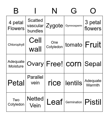 Monocots vs Dicots Bingo Card