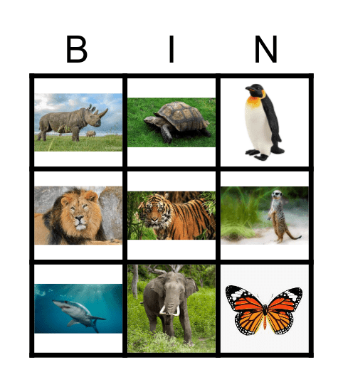 Dierentuin Bingo Card
