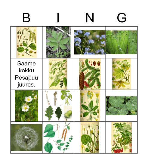 4. B Bingo Card