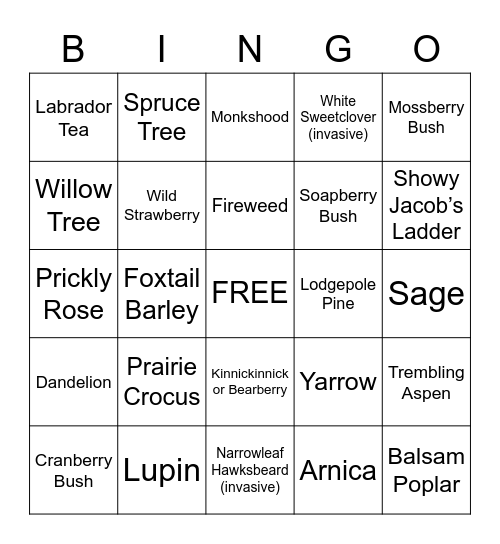 Plant Bingo! Bingo Card